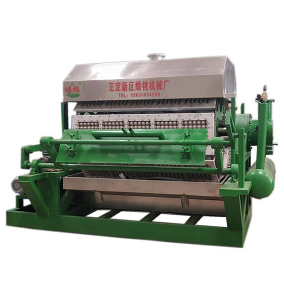 Reduce Labor and Time with Automated Egg Tray Drying System