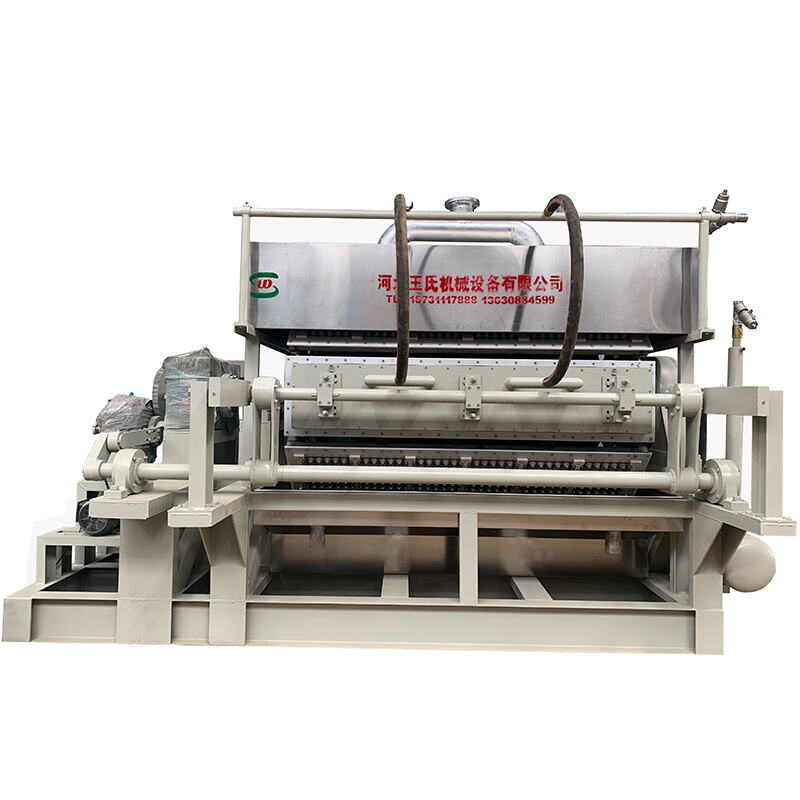 How Pulp Molding Trays Improve Supply Chain Logistics