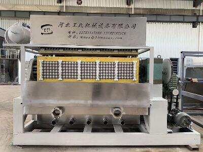Understanding the Technology Behind High-Quality Egg Carton Machines