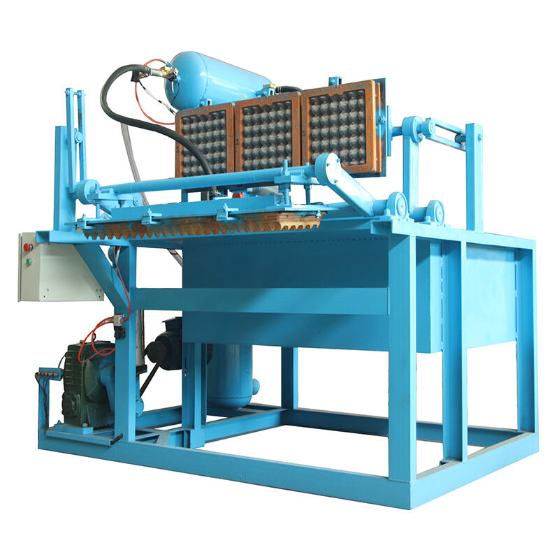 Experience Unmatched Drying Quality with the Egg Tray Fully-Automatic Line