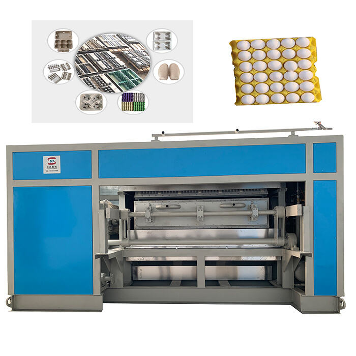 Save Time and Reduce Errors with Egg Tray Automatic Counting System