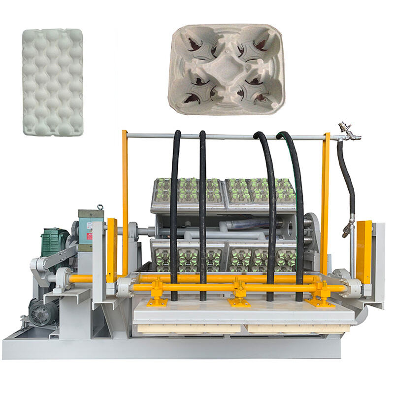 Discover the Advanced Features of the Rotary Pulp Molding Tray Machine