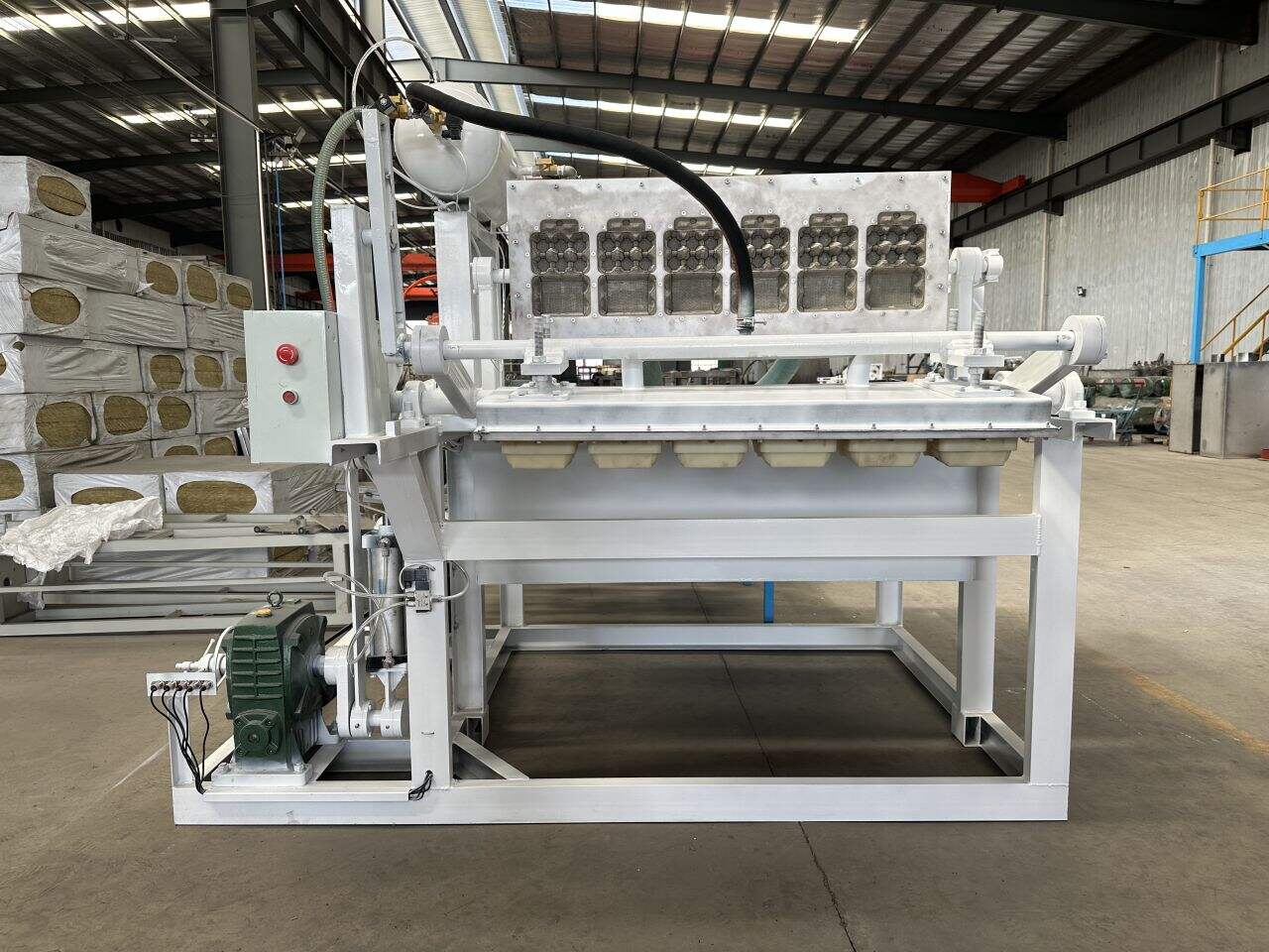 Improve Egg Handling with Automated Packaging Equipmen