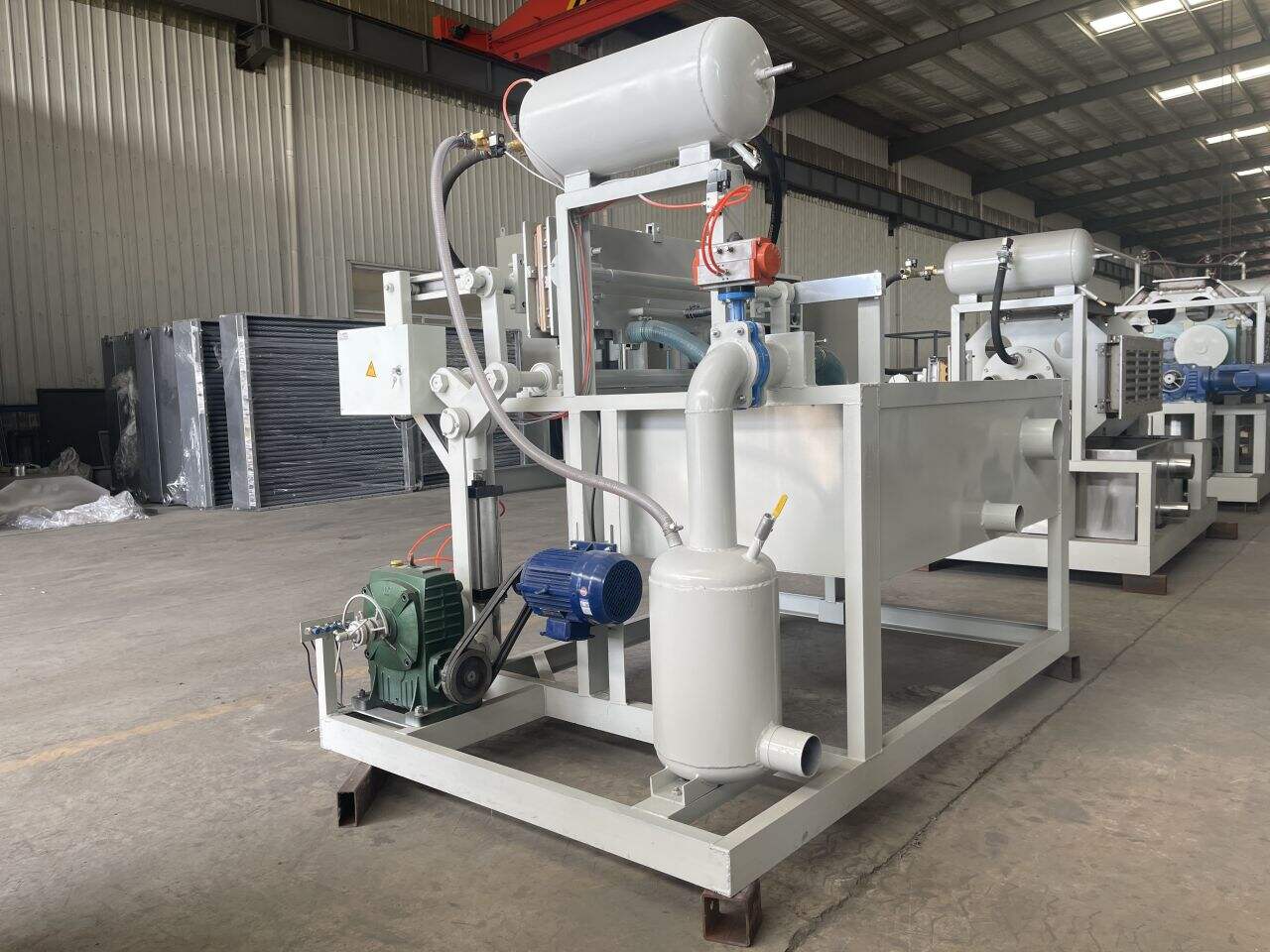 Reduce Labor Costs with an Egg Packaging Machine