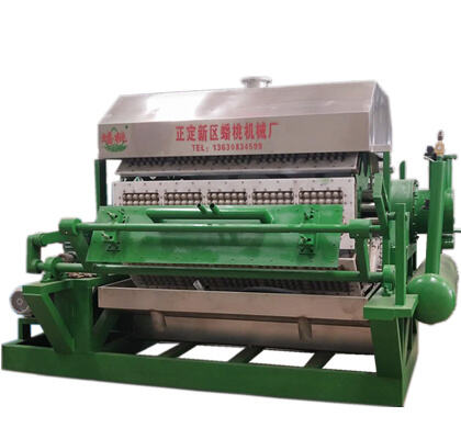 Get Rid of Moisture and Bacteria with Our Egg Tray Drying Machine