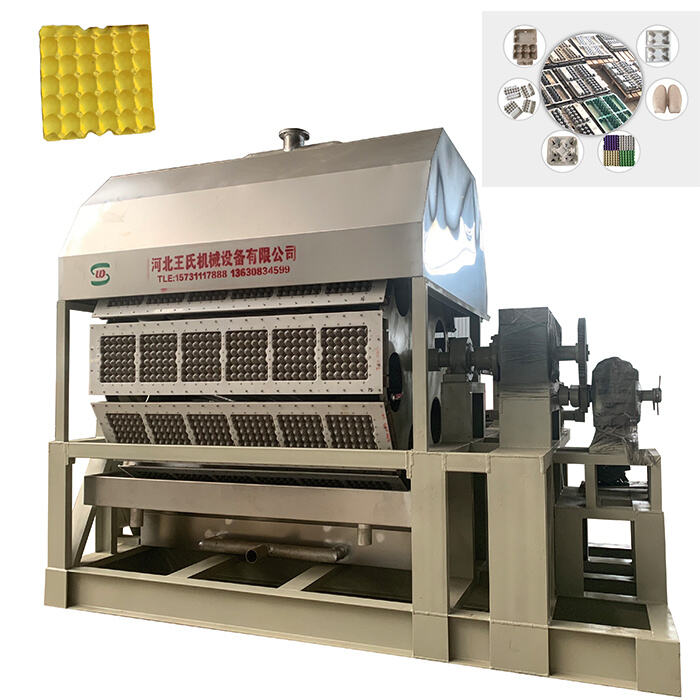Revolutionize Your Egg Sorting Process with Automatic Counting Technology