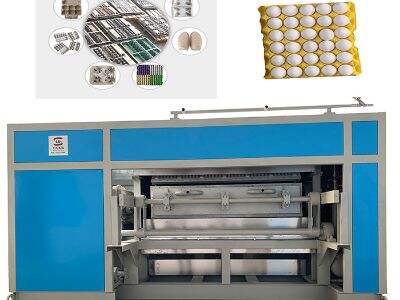 Solutions For Common Issues In The Egg Tray Production Process