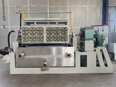 How an Egg Carton Machine Can Streamline Your Packaging Process