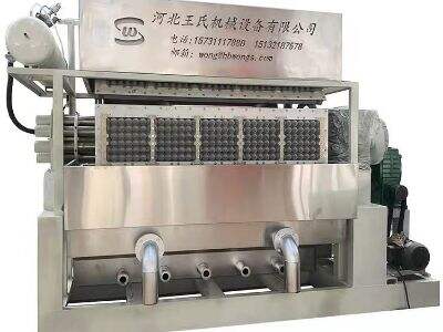 How To Improve The Working Efficiency Of Egg Tray Drying System