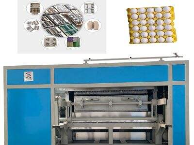 How Egg Carton Machines Help You Save Money on Packaging Materials