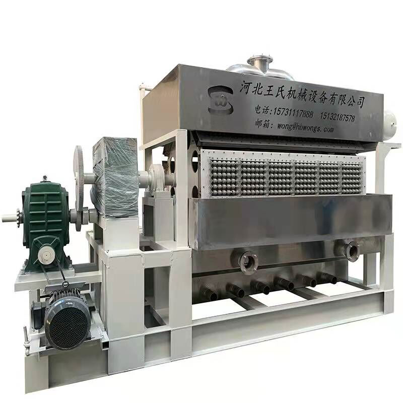 Eco-friendly and cost-effective egg packaging with a disposable egg tray machine