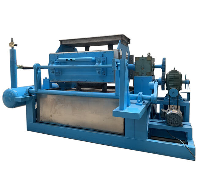 Improve Egg Handling with Automated Packaging Equipmen