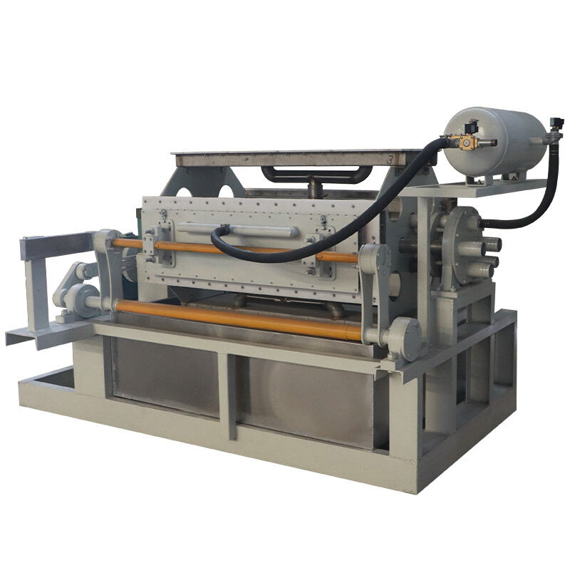 Choosing the Best Pulp Molding Tray Fruit Packaging Production Line