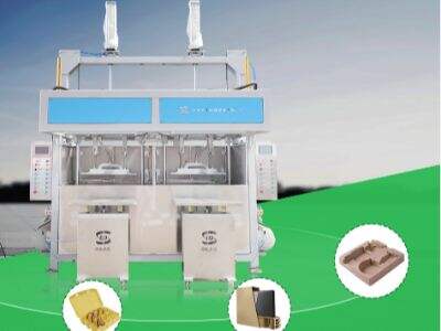 Best 5 Manufacturers for egg tray machine