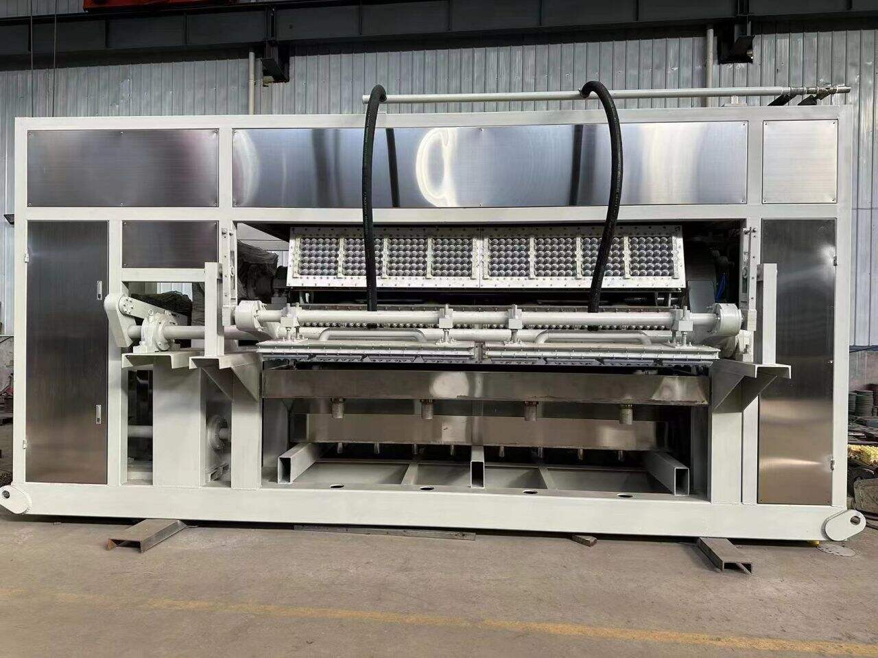 State-of-the-art Egg Tray Pressing Machine u2013 Best for High-Volume Production