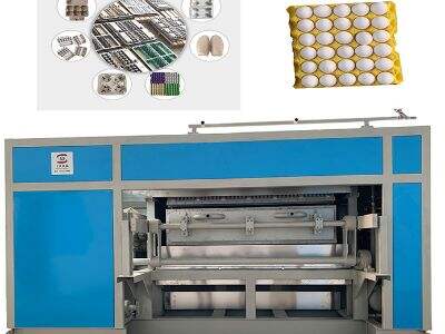 What You Need to Know Before Purchasing an Egg Carton Maker