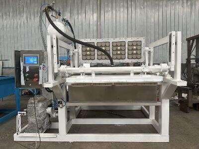 How to Reduce Production Costs with Efficient Egg Carton Molds