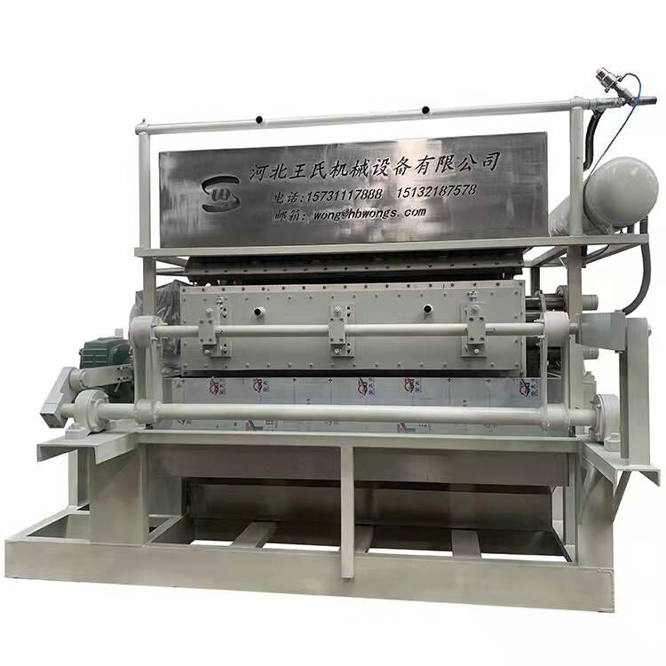 Say Goodbye to Manual Labor with Automated Egg Tray Forming Machines