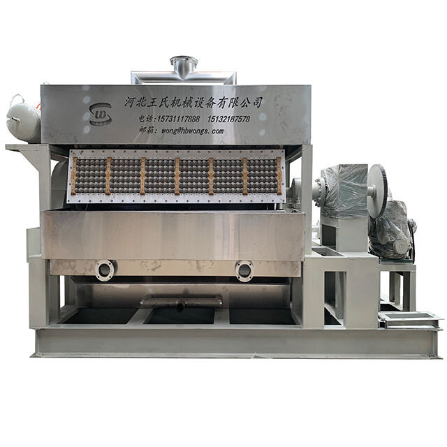 Streamlining your Egg Tray Production with an Automated Pulp Molding Line