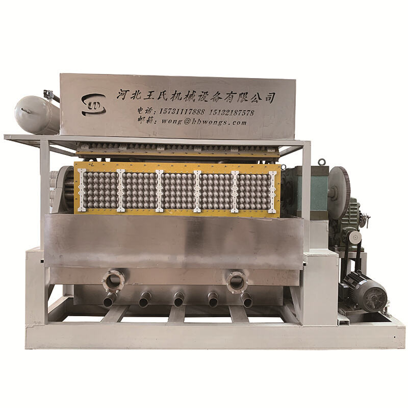 Low-Maintenance and Easy-to-Use Pulp Molding Tray Pressing Machine