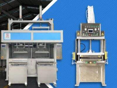 Best 5 Wholesale Suppliers for egg tray machine