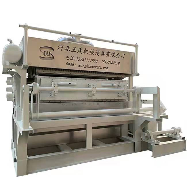 Increase Efficiency and Reduce Waste with Waste Paper Egg Tray Machine