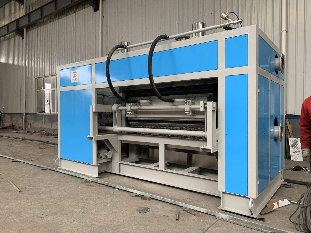 Customizable Egg Tray Machinery for Your Business Needs
