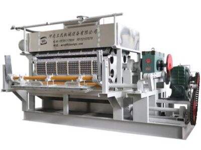 Top 4 Egg Tray Machine Manufacturers in Africa