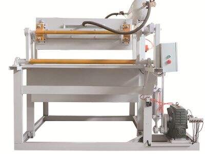 Choosing the Right Egg Carton Mold for Your Production Needs