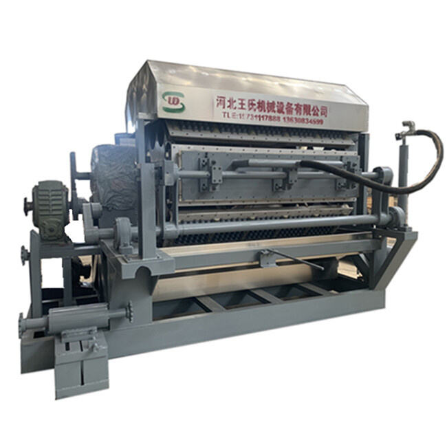 High-Performance Tray Drying for Pulp-Based Products