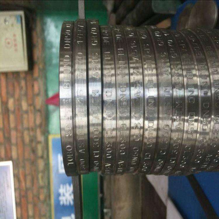 Nickel Blind Forged Flange for piping and building manufacture