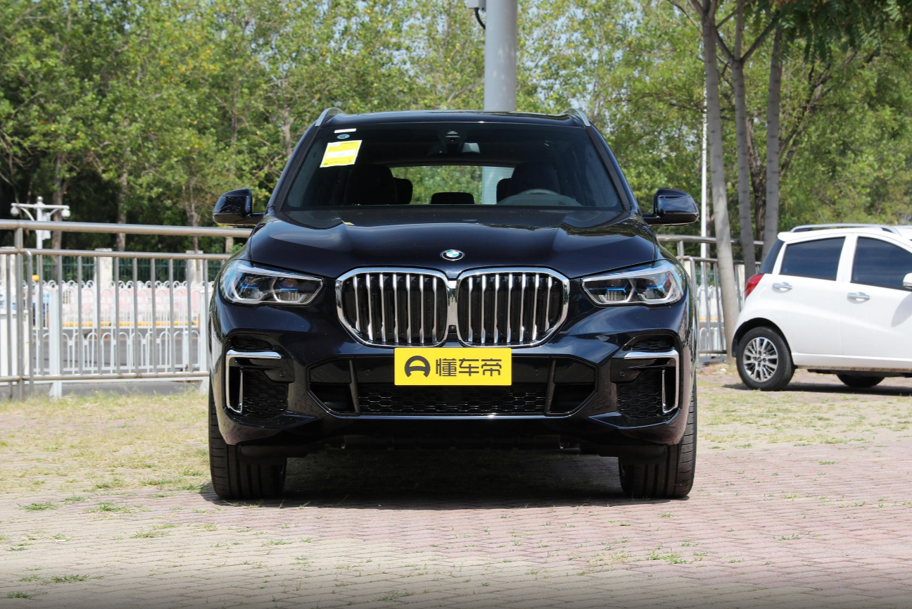 High Quality Low Price Luxury Texture BMW X5 X Drive 40Li With 48V Light Mixing System factory