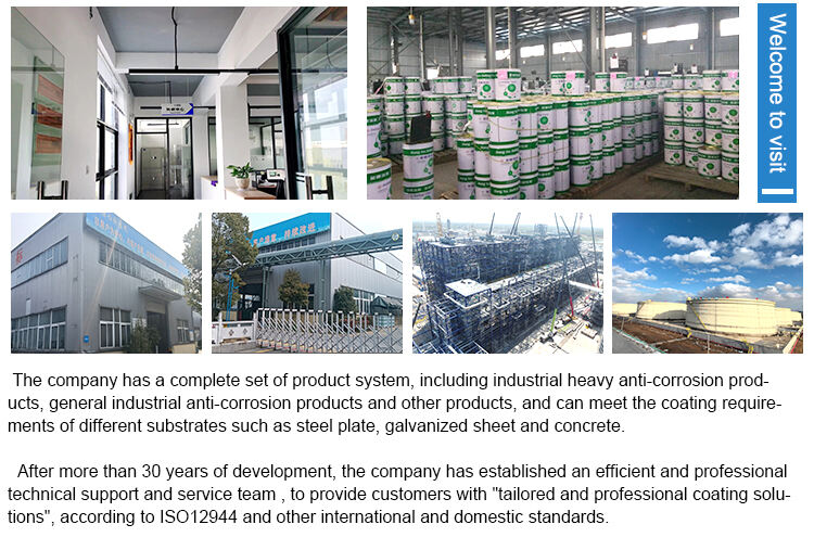 Chemical Industry Anti-Rust Corrosive Epoxy Zinc Rich Water-Based Primer for Factory Site Shopcoat Protective supplier