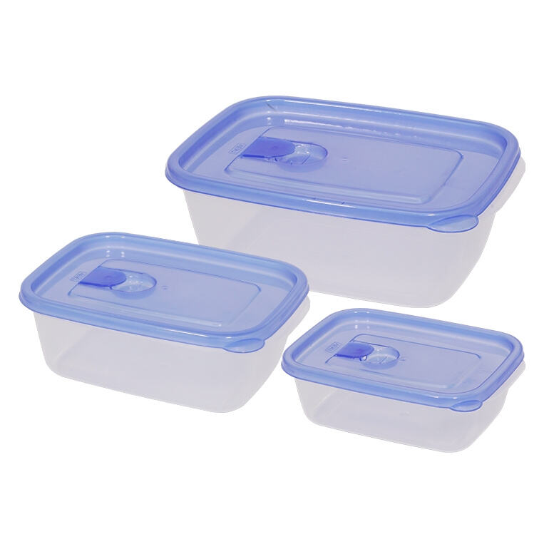 Sagen Sie Hallo zu einer effizienteren und bequemeren Art, Ihre Lebensmittel aufzubewahren, mit unseren Plastikfrischhaltefächern.