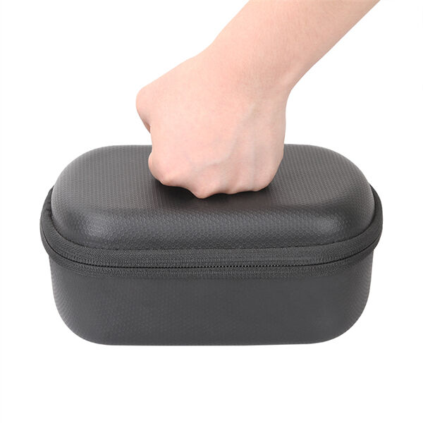 에바 의료 사례背後의 과학 이해하기