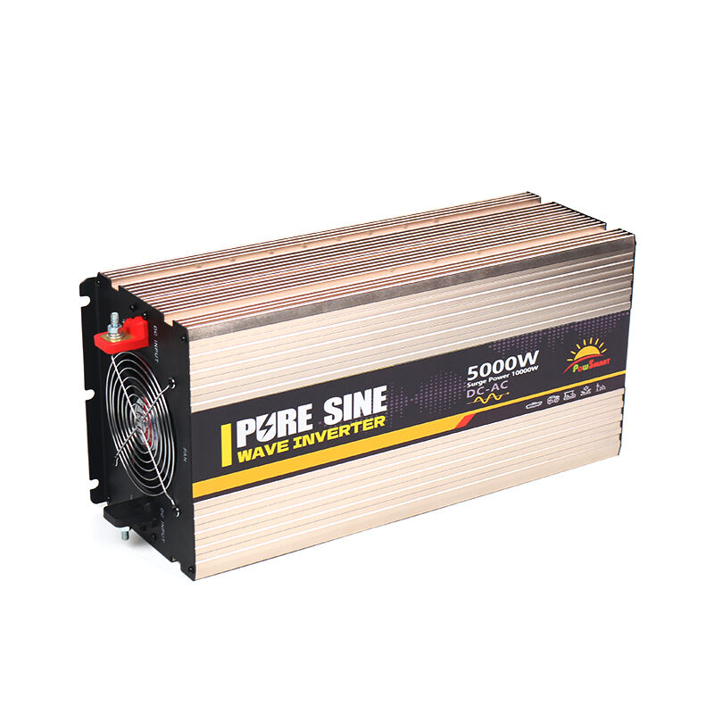 Powsmart-5000W DC 12V 24V 48V AC 110V 220V měnič napětí  