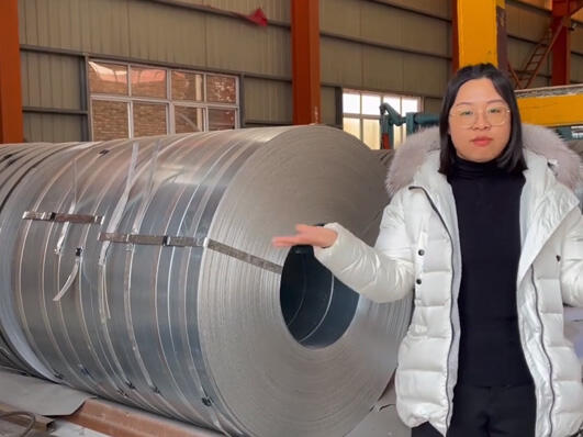 Galvanized steel strip