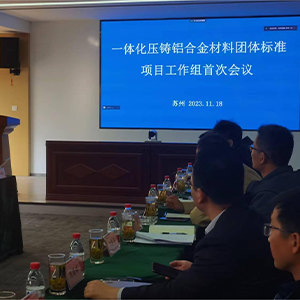 The First Group Standard Meeting Of Integrated Die-Casting Aluminum Alloy Materials Was Held