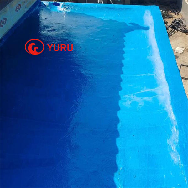 Flat Roof Waterproofing Pain