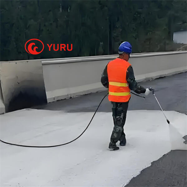 Enjoy Peace of Mind with Leak Proof Roof Coating for Your Home.