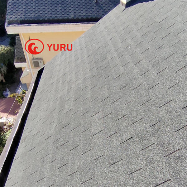 Ensure long-lasting protection with waterproof paint for your concrete roof