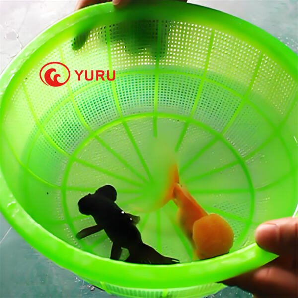 الخيار الموثوق للاستخدام في الختم والالتصاق