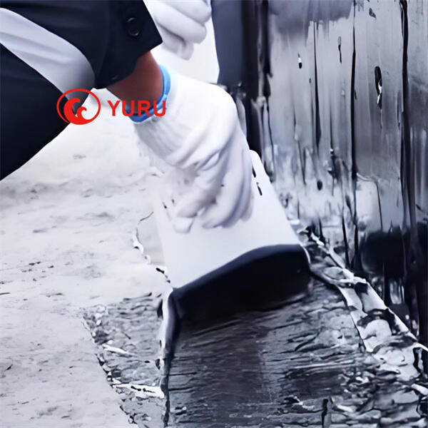 Keep Your Home Dry and Secure with Flat Roof Waterproofing Pain