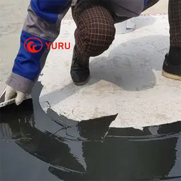 Sprečite curenje i rast plijesni primjenom vodonepropusne boje na krovu