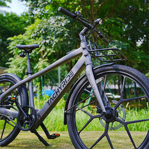 Experience Eco-Friendly Transportation with Powerful E-Bikes.