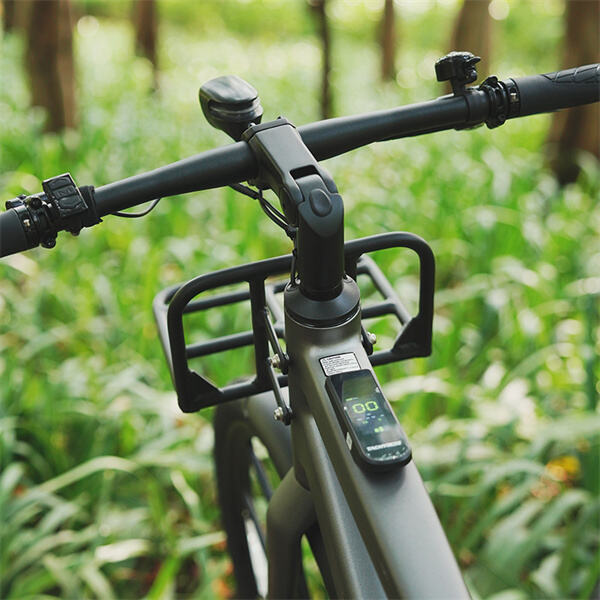 Las Speed E Bikes Revolucionan el Transporte Personal