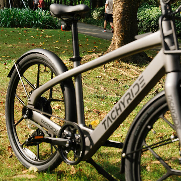 The role of commuter e-bikes in sustainable transportation