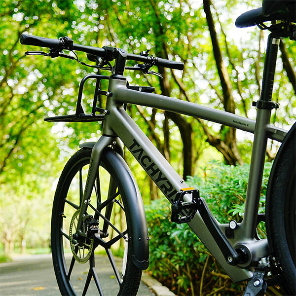 Discovering the Benefits of E Bikes