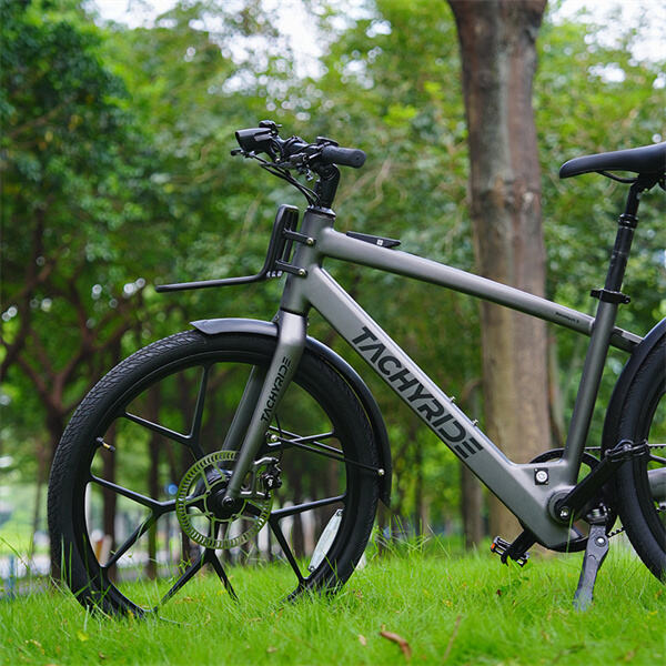 Expert Advice and Service for Your E-Bike Needs