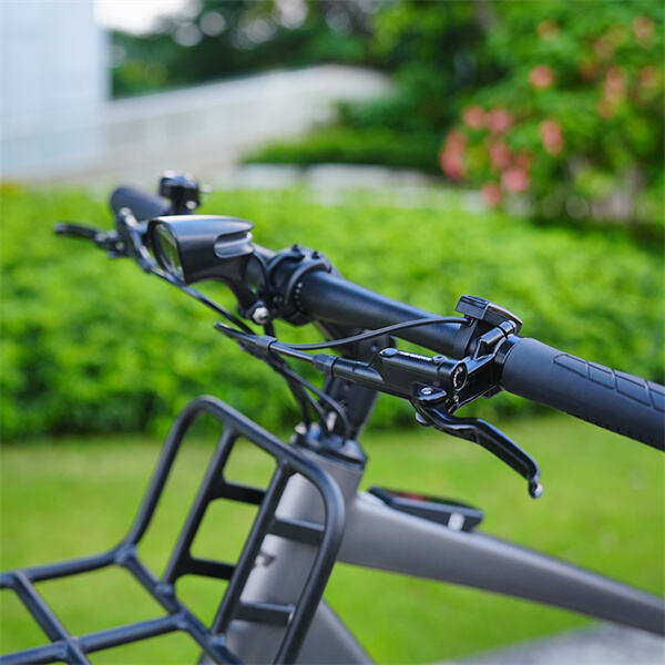 Il Futuro del Ciclismo? La Crescita delle Biciclette Elettriche Cross
